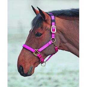Shires Topaz Leather Breakaway Nylon Headcollar