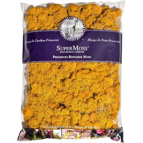 SuperMoss Reindeer Preserved Long Lasting Decorative Moss for Floral Décor Potted Plants and Indoor Planters, Mango