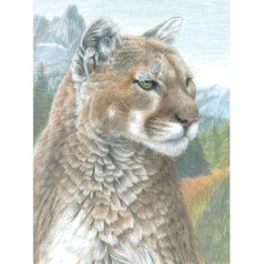 Royal Brush Color Pencil by Number Kit, 8.75 by 11.75-Inch, Cougar
