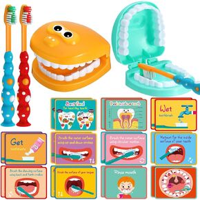 2 Set Dentist Kit for Kids Dentist Play Set Dental Teeth Model with Toothbrush Child Dental Educational Card Standard Size Fake Brace Demonstration Teaching for Children Student(Simple Style)