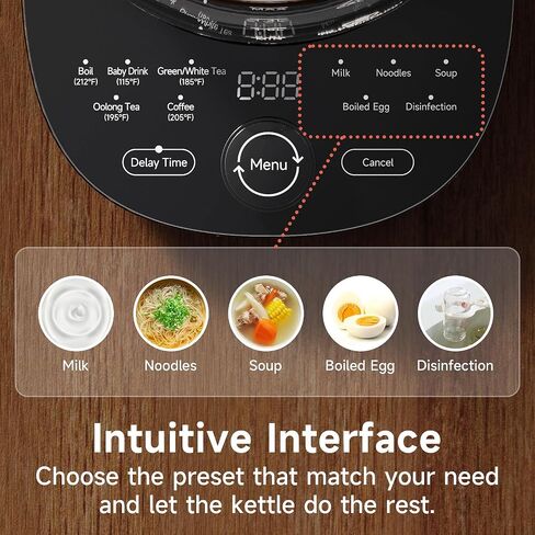 Hot Tea Maker Glass Electric Kettle with Infuser and Temperature Control,1.5L Stainless Steel 1200W Rapid Boiling,Programmable Control for your Favorite Teas and Coffee,Black in Kuwait