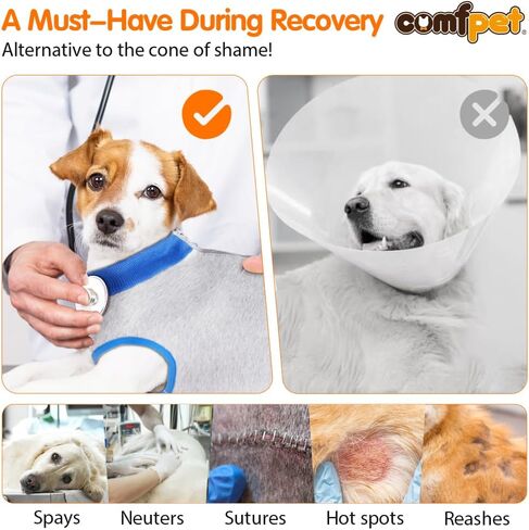 بدلة تعافي لجراحة الكلاب من COMFPET مع سحاب، قطعة واحدة للكلاب الذكور من أجل التعقيم، والمحايد، ومكافحة اللعق، وحالات الجلد، وسلس البول، وبدلة داخلية للكلاب بديلة للطوق الإلكتروني المخروطي، متوسط ​​(رمادي) in Saudi Arabia