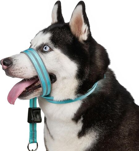 طوق رأس ناعم قابل للتعديل من باركليس مع بطانة، رسن عاكس مانع للسحب للكلاب، يتضمن مقود تدريب الأنف، يضمن سهولة التحكم في المشي (فيروزي، M) in Kuwait