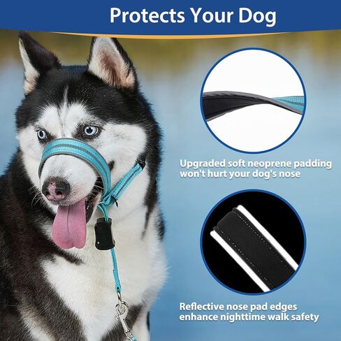 طوق رأس ناعم قابل للتعديل من باركليس مع بطانة، رسن عاكس مانع للسحب للكلاب، يتضمن مقود تدريب الأنف، يضمن سهولة التحكم في المشي (فيروزي، M) in Kuwait