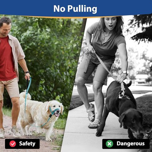 طوق رأس ناعم قابل للتعديل من باركليس مع بطانة، رسن عاكس مانع للسحب للكلاب، يتضمن مقود تدريب الأنف، يضمن سهولة التحكم في المشي (فيروزي، M) in Kuwait