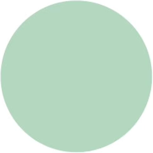 دوائر من التول النايلون مستديرة مقاس 9 بوصات - 25 قطعة (عاجي) in Saudi Arabia