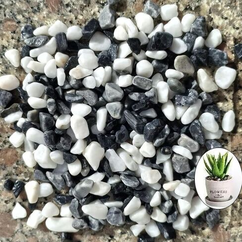 1 LB Fine Natural Silsand, Coarse Silica Sand for Plants, Aquariums, Fire Pits, Terrariums, Cactus and Succulent Plants & Garden Sand Grit in Kuwait