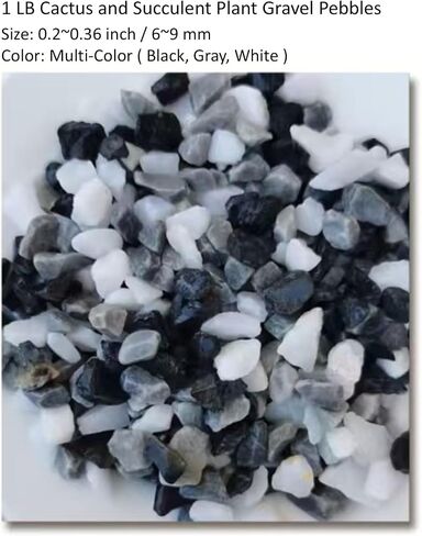 1 LB Fine Natural Silsand, Coarse Silica Sand for Plants, Aquariums, Fire Pits, Terrariums, Cactus and Succulent Plants & Garden Sand Grit in Kuwait