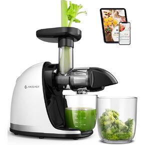 Cold Press Juicer Machines, AMZCHEF Slow Masticating Juicer with Reverse Function, High Juice Yield, Easy Clean with Brush, Recipes for High Nutrient Fruits and Vegetables, Black(Updated) in Kuwait