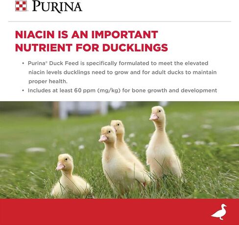 Purina Duck Food Pellets with Niacin, Prebiotics & Probiotics, Nutritionally Complete for All Life Stages, 40 lbs in Saudi Arabia