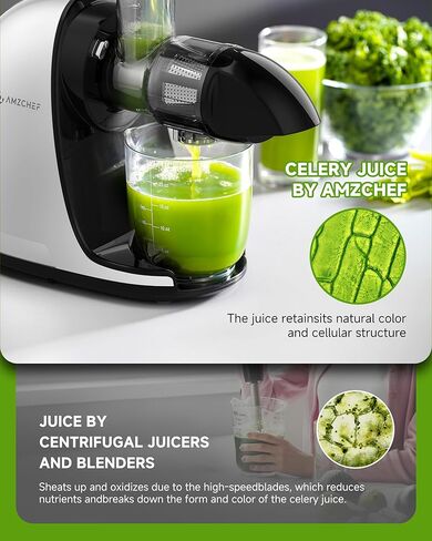 Cold Press Juicer Machines, AMZCHEF Slow Masticating Juicer with Reverse Function, High Juice Yield, Easy Clean with Brush, Recipes for High Nutrient Fruits and Vegetables, Black(Updated) in Kuwait