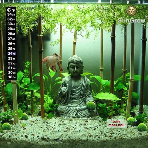 SunGrow Test Kit for Aquarium, Accurate Water Quality Monitoring, Essential Tool for Fish Keepers and Tank Maintenance, 1 Bottle with 100 Strips & 3-Piece Sticker Thermometer, 1 Set Per Pack in Saudi Arabia