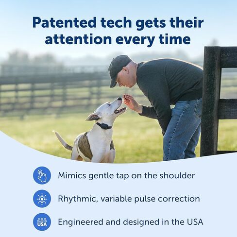 PetSafe Basic Dog Trainer with Remote – Waterproof Training Collar – 300 ft Range – Tone, Vibration and Eight Levels of Static in Saudi Arabia