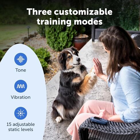 PetSafe Basic Dog Trainer with Remote – Waterproof Training Collar – 300 ft Range – Tone, Vibration and Eight Levels of Static in Saudi Arabia