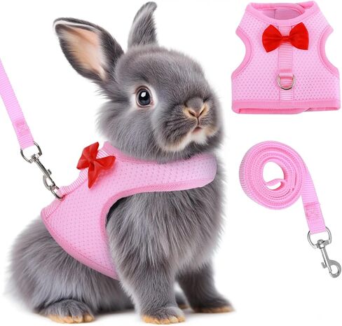 أرنب تسخير ومجموعة المقود ، سترة مقود أرنب شبكية ناعمة مع أبازيم السلامة ، معدات المشي الخفيفة للهروب للأرانب ، القطط ، القوارض ، خنازير غينيا ، رمادي م in Kuwait