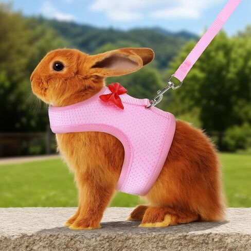 أرنب تسخير ومجموعة المقود ، سترة مقود أرنب شبكية ناعمة مع أبازيم السلامة ، معدات المشي الخفيفة للهروب للأرانب ، القطط ، القوارض ، خنازير غينيا ، رمادي م in Kuwait