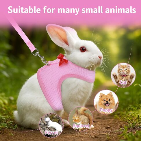 أرنب تسخير ومجموعة المقود ، سترة مقود أرنب شبكية ناعمة مع أبازيم السلامة ، معدات المشي الخفيفة للهروب للأرانب ، القطط ، القوارض ، خنازير غينيا ، رمادي م in Kuwait