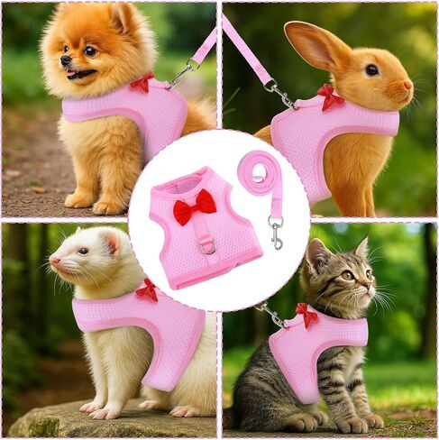 أرنب تسخير ومجموعة المقود ، سترة مقود أرنب شبكية ناعمة مع أبازيم السلامة ، معدات المشي الخفيفة للهروب للأرانب ، القطط ، القوارض ، خنازير غينيا ، رمادي م in Kuwait