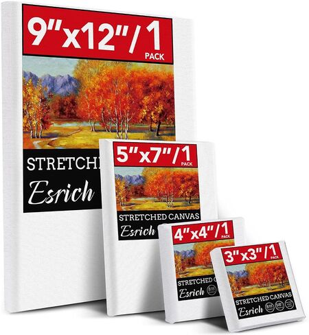 ESRICH Stretched Canvas for Painting, 16 Pack 8x8 Square Canvases for Painting Primed Acid-Free Blank Canvases,Painting Canvas for Beginners, Artists for Oil,Acrylic Paint, Pouring Painting. in Saudi Arabia