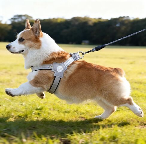 Medium Small Dog Harness, Puppy Leash with Reflective Strips, 4.92 FT Safety Puppy Rope with Adjustable Soft Padded Vest (Yellow Y-Shaped Dog Vest with Rope, S（8.82-22.05 lbs) in Saudi Arabia