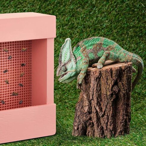 Chameleon Feeder Bearded Dragon Bug Bowl Wooden Bearded Dragon Feeder Insect Reptile Box with Grid Plate for Feeding Chameleon Gecko Lizard Frog Aquarium Accessories(Blue) in Saudi Arabia