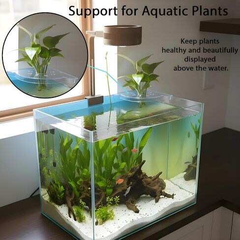 2 PCS Aquarium Corner Shelf مع حامل النبات ، يجلس على حافة الخزان ، مثالية للنباتات المائية ، ديكور خزان الأسماك وملحقاتها ، تناسب معظم الخزانات ، خاصةً مقابل 20 جالونًا أو أكبر (أبيض) in Kuwait