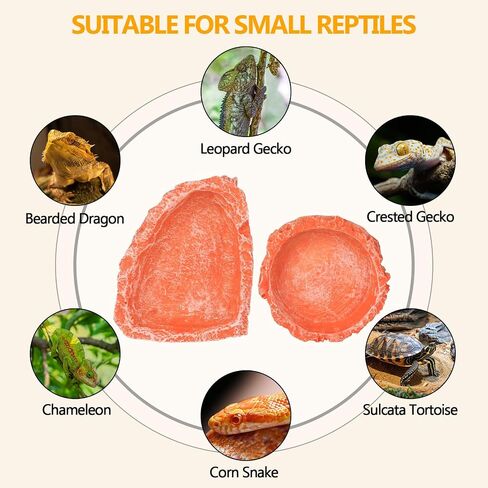 Reptile Water Dish Large Bearded Dragon Food Bowl, Rock Corner Water Dish for Reptiles Snake Water Bowl Feeding for Leopard Gecko Tortoise Lizard Tank Accessories, Terrarium Reptile Pool with Ramp in Saudi Arabia