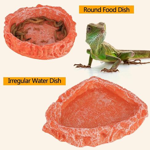 Reptile Water Dish Large Bearded Dragon Food Bowl, Rock Corner Water Dish for Reptiles Snake Water Bowl Feeding for Leopard Gecko Tortoise Lizard Tank Accessories, Terrarium Reptile Pool with Ramp in Saudi Arabia