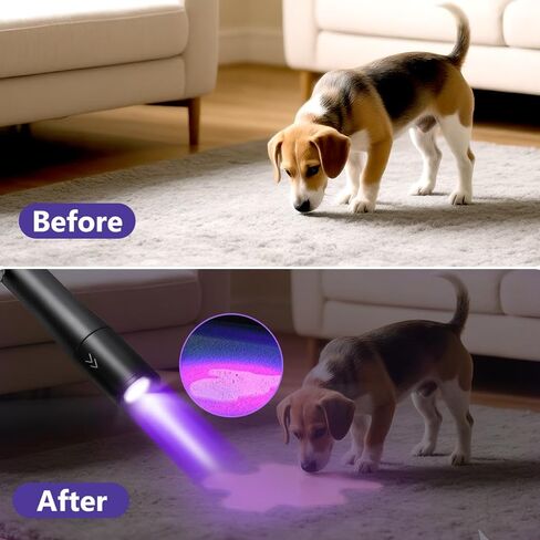 3Pack Pen Flashlight, Pen Light Flashlights High Lumens, Small LED Flashlight, Adjustable Tactical Flash Light, Waterproof Pocket Flashlights with Clip, Aluminum Mini Lights for Inspection Emergency in Kuwait