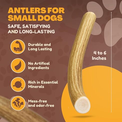 WhiteTail Naturals - Sun Aged Deer Antler Dog Chews (3 Pack Medium) Economy Grade Natural Dog Bone Chews - in Saudi Arabia