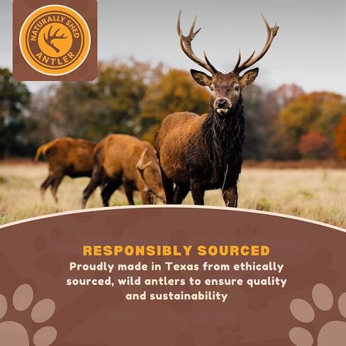 WhiteTail Naturals - Sun Aged Deer Antler Dog Chews (3 Pack Medium) Economy Grade Natural Dog Bone Chews - in Saudi Arabia