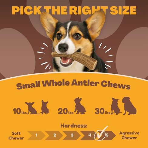 WhiteTail Naturals - Sun Aged Deer Antler Dog Chews (3 Pack Medium) Economy Grade Natural Dog Bone Chews - in Saudi Arabia