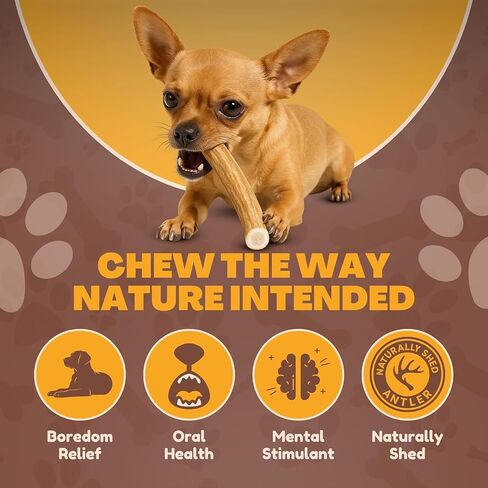 WhiteTail Naturals - Sun Aged Deer Antler Dog Chews (3 Pack Medium) Economy Grade Natural Dog Bone Chews - in Saudi Arabia