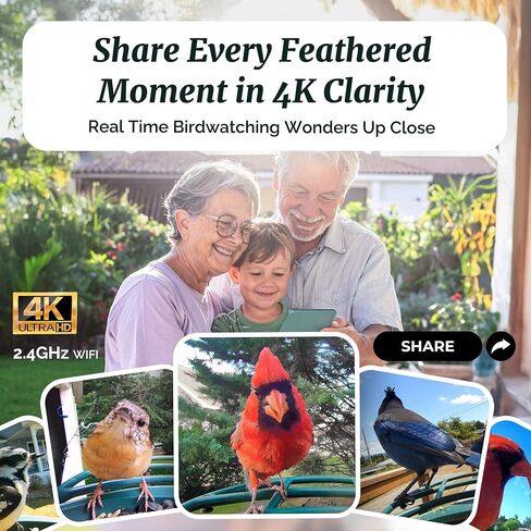 Beako™ AI Smart Bird Feeder with 4K Camera Solar Powered for Outdoors - Ultra HD Live Stream, 10,000+ Species Identification, Real-Time Alerts, Easy Setup & Refill, No Subscription in Kuwait