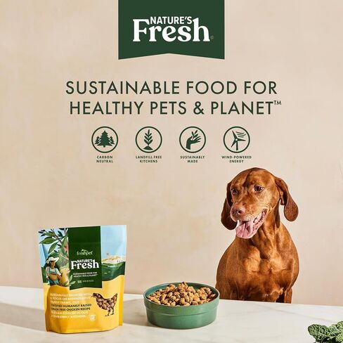 Freshpet Turkey & Spinach Dog Food ، 80 Oz in Kuwait