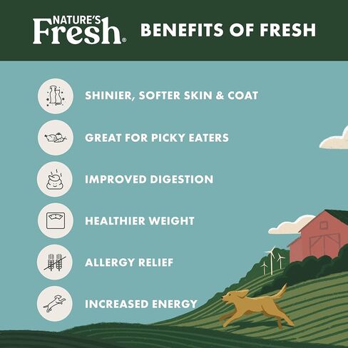 Freshpet Turkey & Spinach Dog Food ، 80 Oz in Kuwait