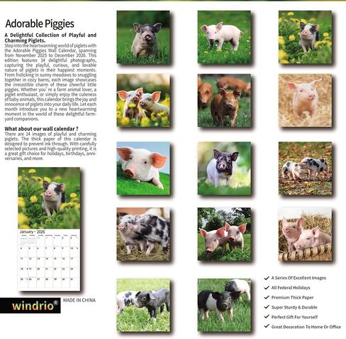 2026 Wall Calendar,Calendar 2026, July 2025 - December 2026, Wall Calendar Owls, 12" x 24" Opened,Full Page Months Thick & Sturdy Paper for Gift Perfect Calendar Organizing & Planning in Kuwait