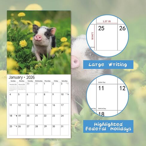 2026 Wall Calendar,Calendar 2026, July 2025 - December 2026, Wall Calendar Owls, 12" x 24" Opened,Full Page Months Thick & Sturdy Paper for Gift Perfect Calendar Organizing & Planning in Kuwait