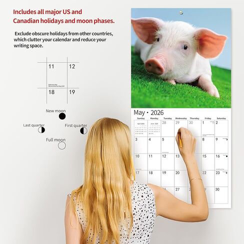 2026 Wall Calendar,Calendar 2026, July 2025 - December 2026, Wall Calendar Owls, 12" x 24" Opened,Full Page Months Thick & Sturdy Paper for Gift Perfect Calendar Organizing & Planning in Kuwait