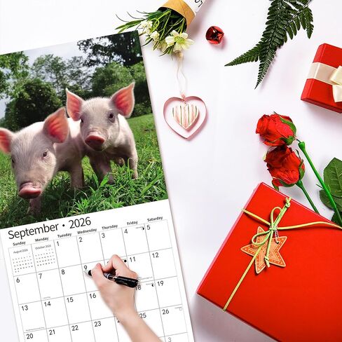 2026 Wall Calendar,Calendar 2026, July 2025 - December 2026, Wall Calendar Owls, 12" x 24" Opened,Full Page Months Thick & Sturdy Paper for Gift Perfect Calendar Organizing & Planning in Kuwait