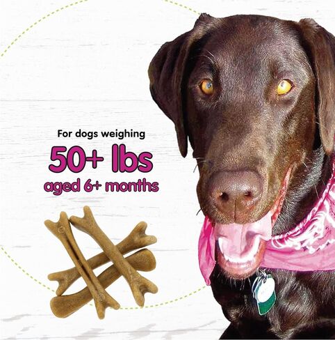 Naturals Belly Bones for Dogs, 21 Yogurt Flavor Mini Dog Dental Treats (Made in USA) - 21 Count Dog Treats for Small Dogs - Plaque and Tartar Control for Fresh Breath, Digestive Health Support in Kuwait