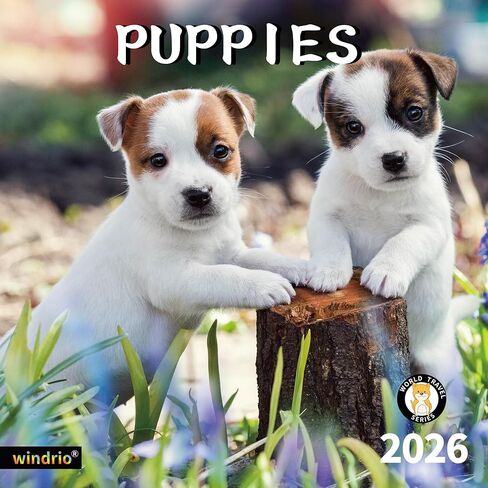 2026 Wall Calendar,Calendar 2026, July 2025 - December 2026, Wall Calendar Whispers of the Waves, 12" x 24" Opened,Full Page Months Thick & Sturdy Paper for Gift Perfect Calendar Organizing & Planning in Kuwait
