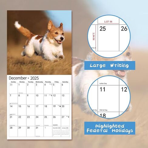 2026 Wall Calendar,Calendar 2026, July 2025 - December 2026, Wall Calendar Whispers of the Waves, 12" x 24" Opened,Full Page Months Thick & Sturdy Paper for Gift Perfect Calendar Organizing & Planning in Kuwait