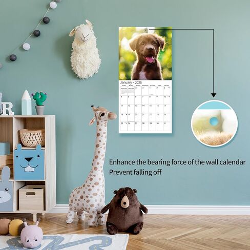 2026 Wall Calendar,Calendar 2026, July 2025 - December 2026, Wall Calendar Whispers of the Waves, 12" x 24" Opened,Full Page Months Thick & Sturdy Paper for Gift Perfect Calendar Organizing & Planning in Kuwait