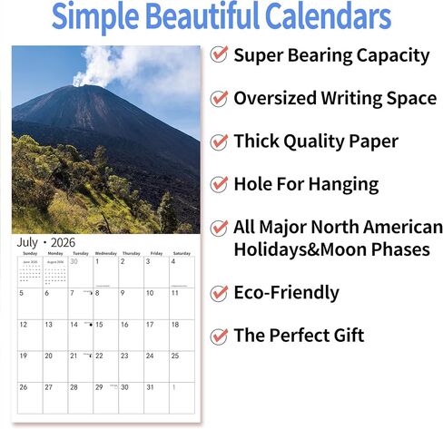 2026 Wall Calendar,Calendar 2026, July 2025 - December 2026, Wall Calendar Fluffy Kittens, 12" x 24" Opened,Full Page Months Thick & Sturdy Paper for Gift Perfect Calendar Organizing & Planning in Kuwait
