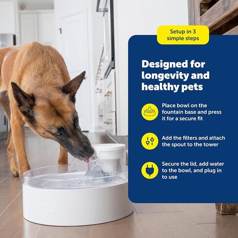 Petsafe تفتح النافورة ماء القط 60 أوقية/1.7 لتر - موزع المياه الداخلية للقطط ، غسالة الصحون آمنة وسهلة التجميع والتنظيف ، مرشح المياه in Kuwait