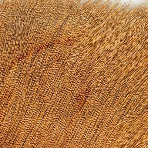 Wapsi Fishing Hook - Elk Body Hair, Bleached Hock - Fly Tying Material in Kuwait