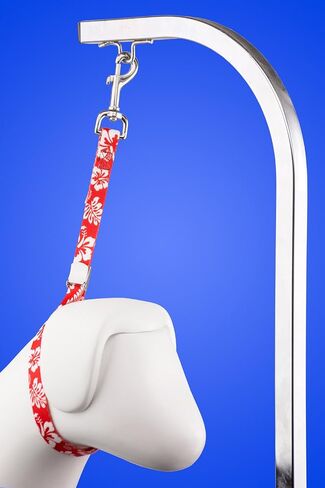 Country Brook Petz­ - 5/8 Inch Tie Dye Flowers Cam Lock Grooming Loop Multi-Colored in Saudi Arabia