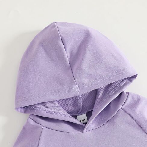 Toddler Girls Pant Set Hoodie Long Sleeve Fall Outfits Sweatsuits Girls' Clothing Sets 2 Piece in Kuwait