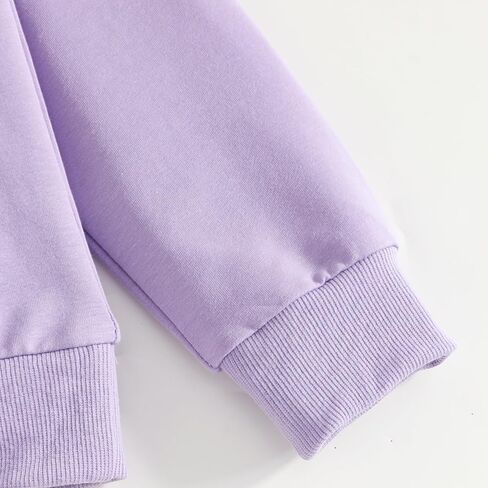 Toddler Girls Pant Set Hoodie Long Sleeve Fall Outfits Sweatsuits Girls' Clothing Sets 2 Piece in Kuwait